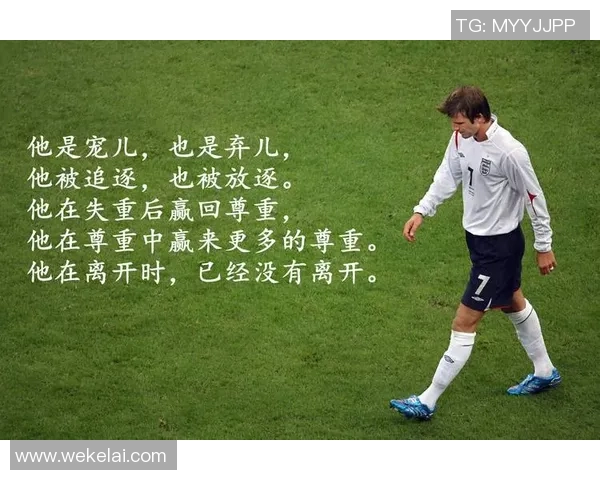 天下足球明星队员齐聚一堂展现超凡技艺与无尽魅力的盛宴